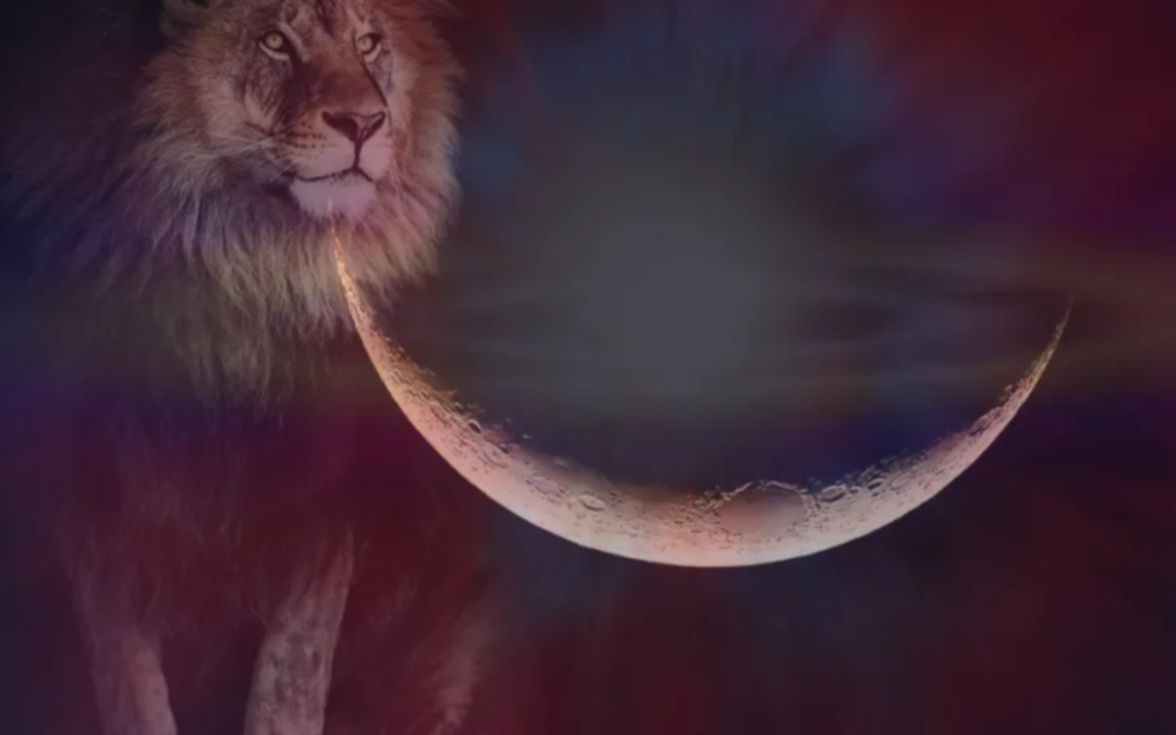 Shine Your Inner Fire of Positivity! New Moon in Leo, on July 28th, 2022