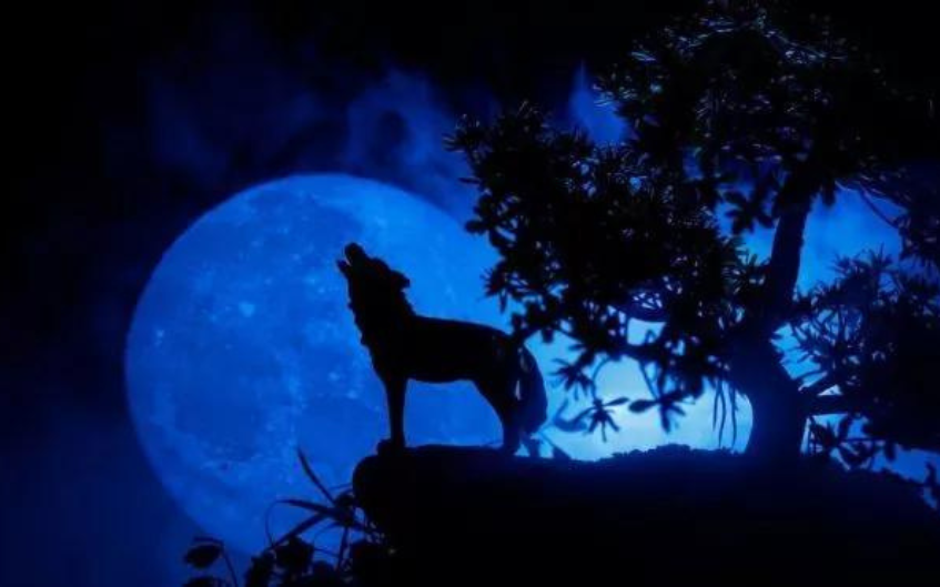 Howl at the Cosmic Splendor: Embrace the Wolf Moon on January 25th 2024