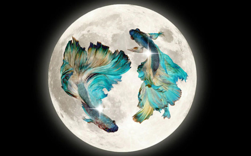 Bring Sweeping Changes into your Relationships with the Magic of the Pisces Full Moon on September 17, 2024