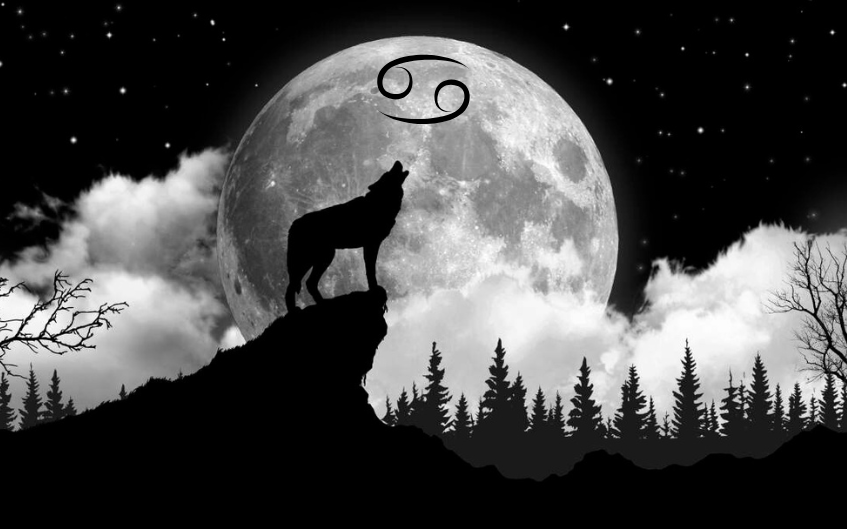 Howling into the New Year: The Enchanting Wolf Moon on January 13th, 2025